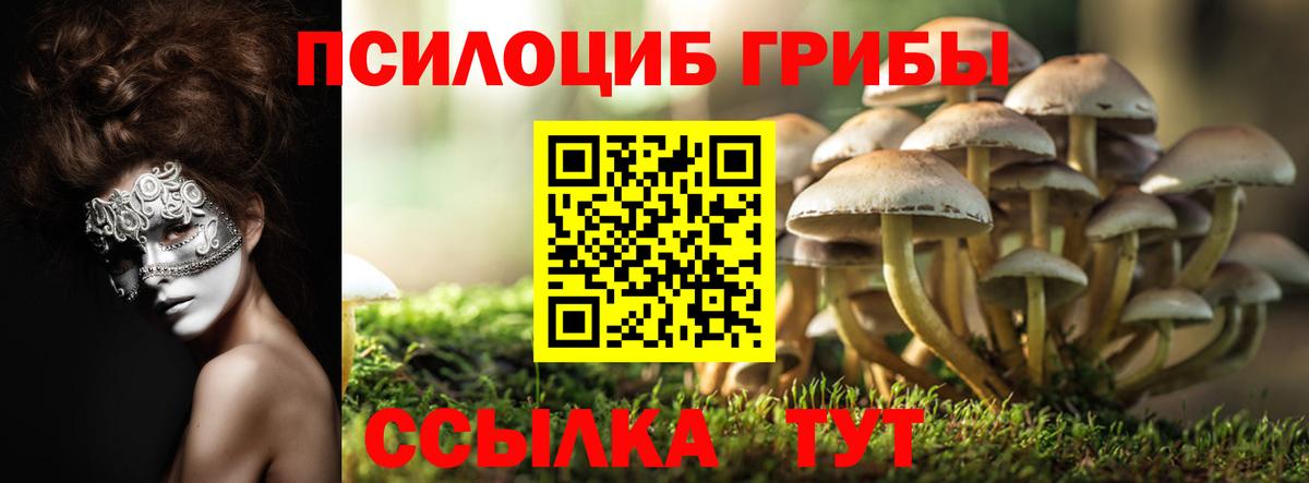 Псилоцибиновые грибы мухоморы  Псилоцибиновые грибы GOLDEN TEACHER  Большой Камень  Вход с VPN 